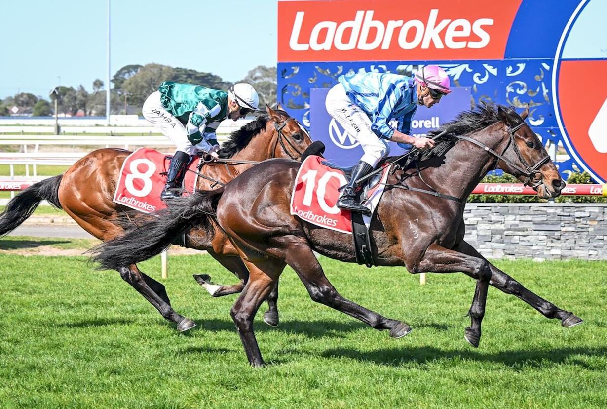 TRUE REBEL BREAKS THROUGH AT GEELONG